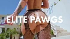 Reproduzir Elite group pawgs pmv