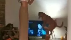 Afspelen Vriendin naar beneden en dan papa