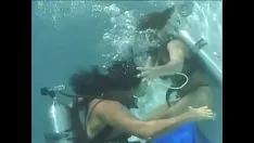 Oynat sara ashley milf ile brobdingnagian kolay ve buruşuk sarkık bitkiler batık