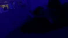 播放 我和亨卡佩 1 号视频录制 pt.1