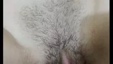 চালান নভিনহা গেরেস্তোরিও গোস্তোসিনহো