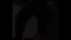 Oynat Gerçek demlenmesini diler