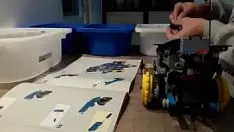 Abspielen Lego-Set 42065 vs. 42095