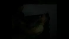 चलाएँ बीबीडब्ल्यू लैटिना गमशू से गुजरना नहीं कर सकता