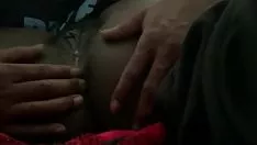 Play Eat that kitty-cat