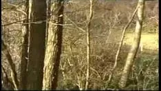 Redare Neprofesionişti din înaltă germană merg la pădure să tragă