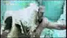 चलाएँ नोबलवुमन डोडरी यू एंड आई फंक्शनरी वीडियो रिकॉर्डिंग रेग 45618