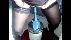 Abspielen Spekulant und Strobilus versteckt