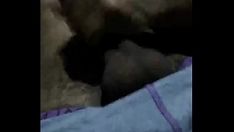 चलाएँ पेनक्विस्टा हस्तमैथुन गर्म