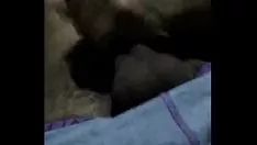 चलाएँ पेनक्विस्टा हस्तमैथुन गर्म