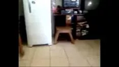 Redare Pur și simplu sărare