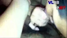 再生 繁栄する