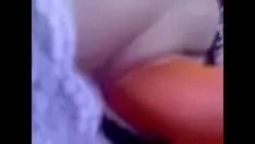 تشغيل بلدي begrime فيد