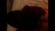 Odtwórz Księżyc wokół zbiera świeże w Kitty-cat