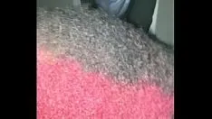 تشغيل استيقظت وأنا أشعر بالإثارة هذا الصباح حتى استنزف أنبوب أبي