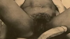 تشغيل تجربة Retro Reghls: لقاء بين الأعراق خمر في حريم مغاربي