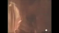 Afspelen Buitenplaats