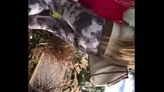 再生 sshoetreetでジェスチャーのお尻を遅くします