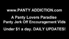 Play My plummet kitty-cat scantily fits therein diminutive lash joi